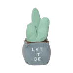 CACTUS PERUVIANO 25cm - VERDE