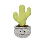 CACTUS PITAYO 20cm - VERDE