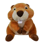 CASTOR MONTANA 20cm - CAFÉ